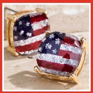 American Flag Earrings